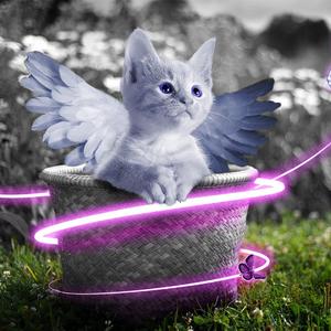 国产日韩一区二区三区
