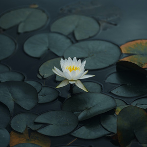 国产日韩一区二区三区
